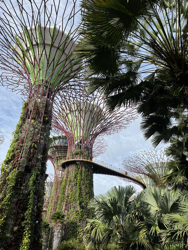 Singapore 12-hour Layover Itinarary🇸🇬💗✨