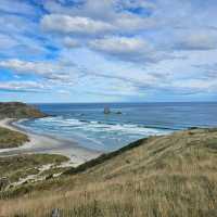 Springtime Wonders in New Zealand