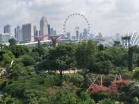 #濱海灣花園Gardens By The Bay-新加坡