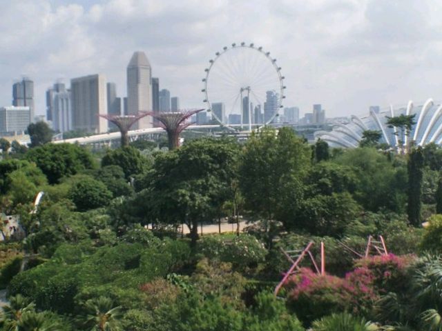 #濱海灣花園Gardens By The Bay-新加坡