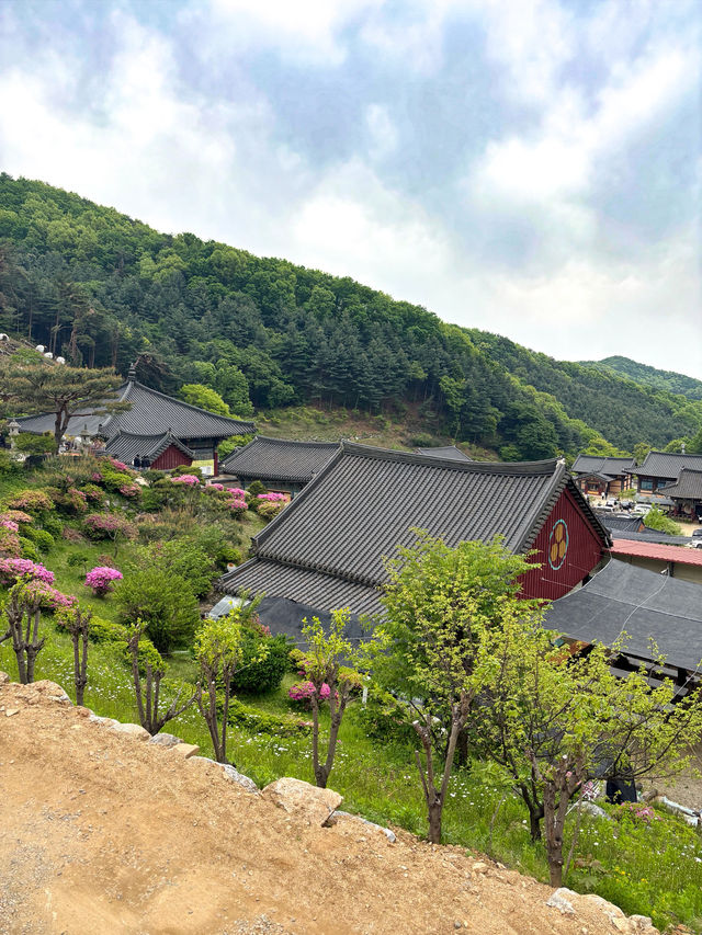 🪷부처님 오신날에 여긴 꼭 가야죠!🪷