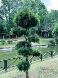 Perdana Botanical Garden: A Tranquil Urban Oasis in Kuala Lumpur