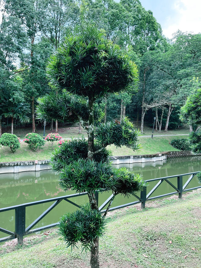 Perdana Botanical Garden: A Tranquil Urban Oasis in Kuala Lumpur