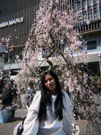 ตะลุยย่านของกินติดอันดับโลก •ดง ทง บุ ริ• OSAKA