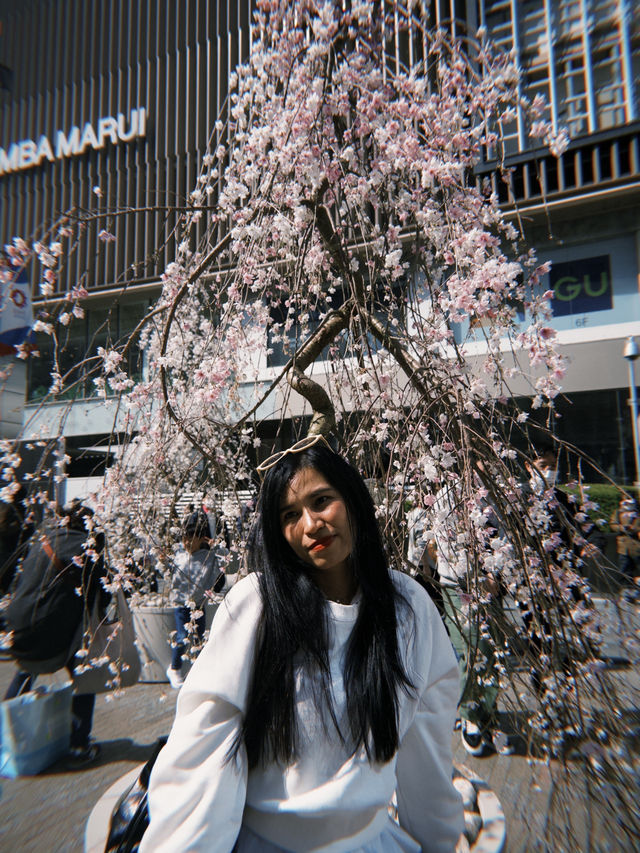 ตะลุยย่านของกินติดอันดับโลก •ดง ทง บุ ริ• OSAKA