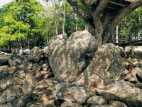 อุทยานแห่งชาติภูเก้า-ภูพานคำ