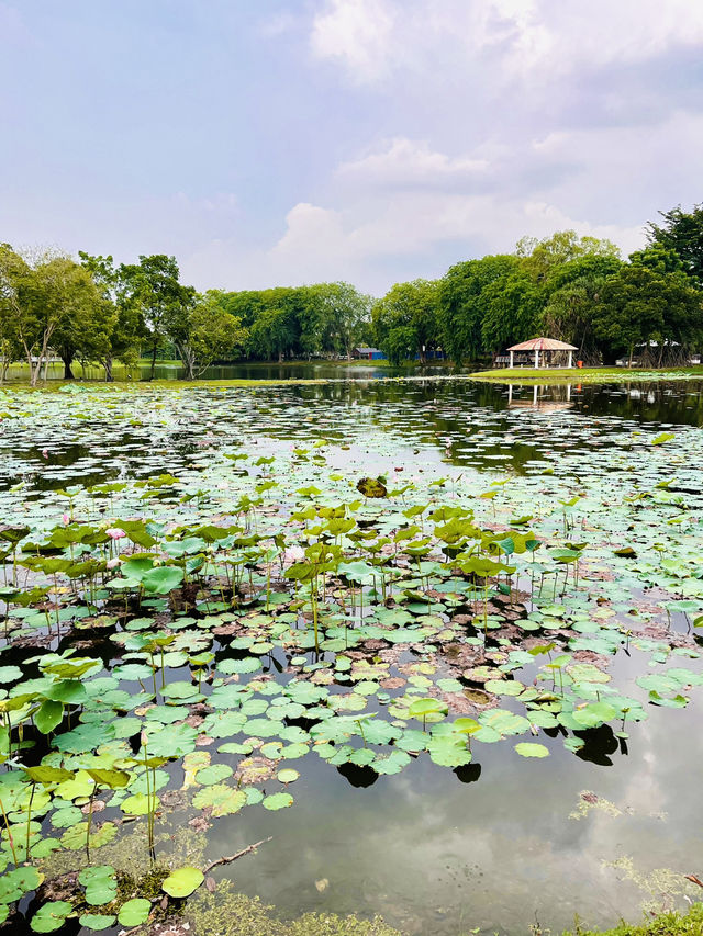 Taman Tasik Cyberjaya: A Serene Urban Oasis for Recreation and Relaxation