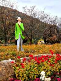 Discovering Daegu: A Perfect Blend of Tradition and Modernity