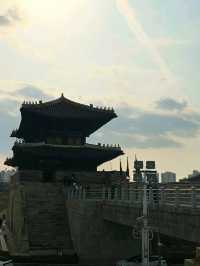 Suwon in Bloom: Cherry Blossoms Amidst Historic Beauty