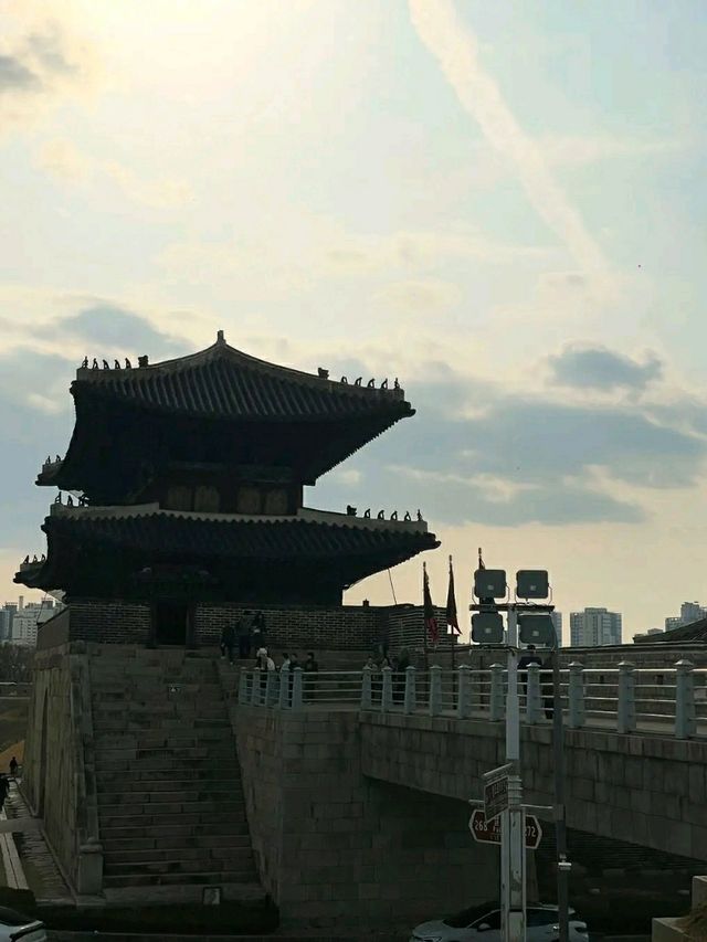 Suwon in Bloom: Cherry Blossoms Amidst Historic Beauty