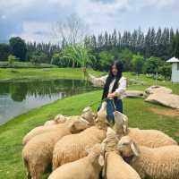 Bucolic คาเฟ่ background ภูเขาที่ใครๆก็ต้องมา