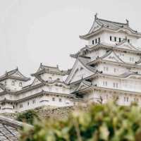 japan trip