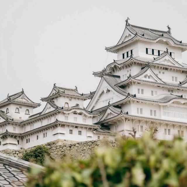 japan trip