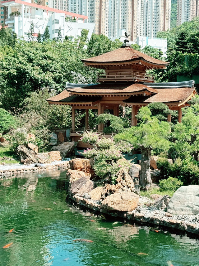 香港｜志蓮淨苑｜香港深度遊的禪意靜土