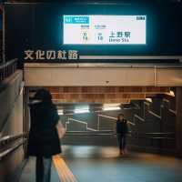 上野地區交通及景點攻略