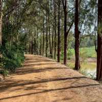 Khao Yai Art Forest