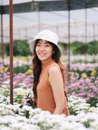 ตามหาทุ่งดอกไม้กลางหุบเขา 🌼