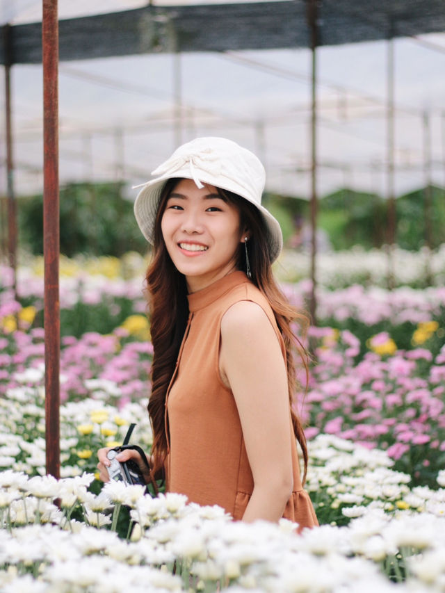 ตามหาทุ่งดอกไม้กลางหุบเขา 🌼