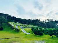 Seongnae Reservoir: Nature’s Mirror
