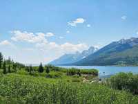 Majestic Views on the Jenny Lake Loop Trail