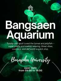 [ชลบุรี] 🪼 Bangsaen Aquarium (อควาเรียมบางแสน)