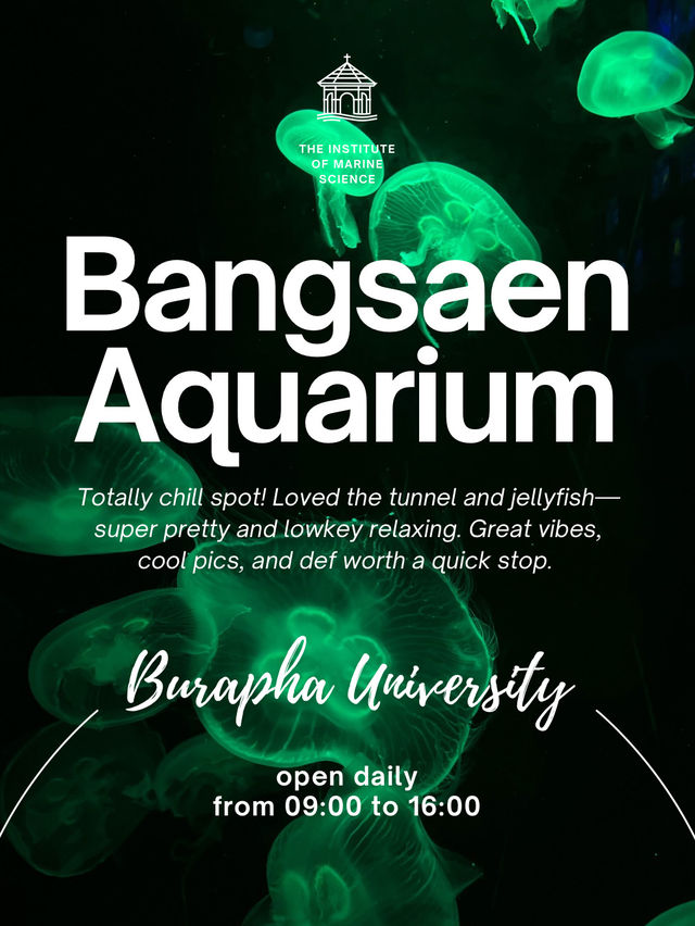 [ชลบุรี] 🪼 Bangsaen Aquarium (อควาเรียมบางแสน)