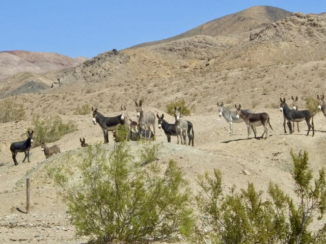 Walking Through Time in Death Valley’s Vast Landscape