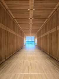 Art & Airy Spaces in Toyama – A Creative Day Surrounded by Beauty