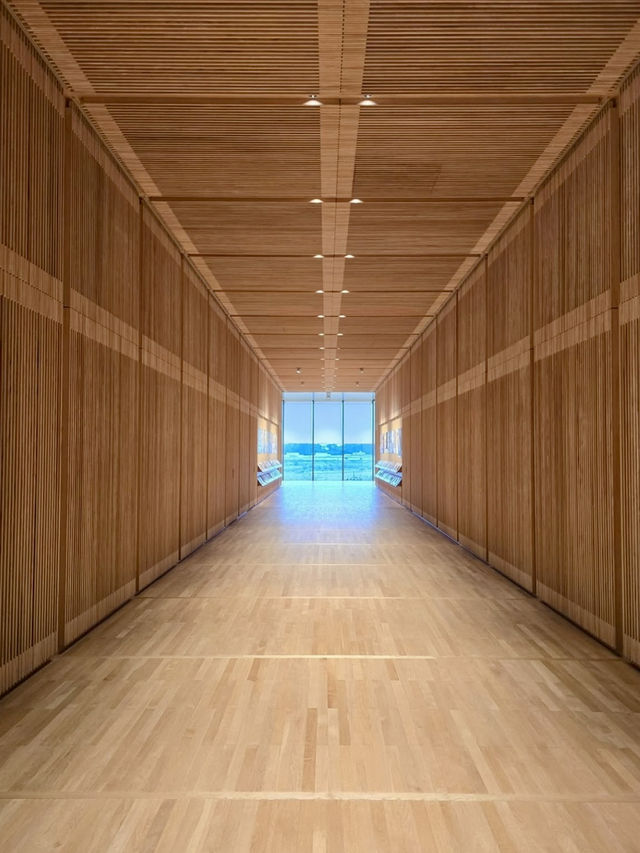 Art & Airy Spaces in Toyama – A Creative Day Surrounded by Beauty