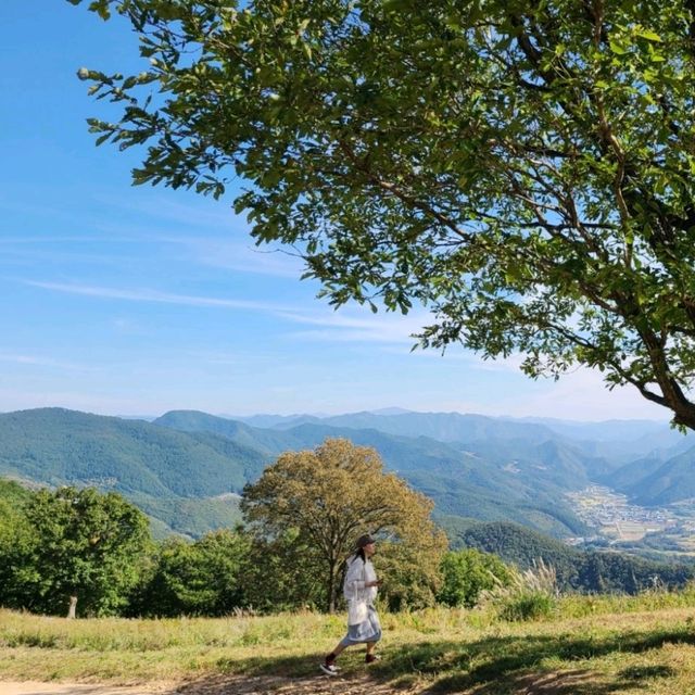 평창트레킹🧡산너미목장트레킹
