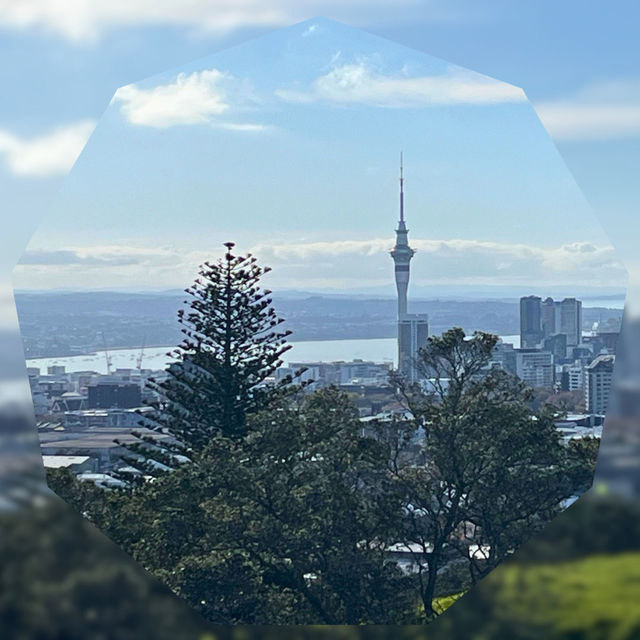 【NZ】🌿オークランド観光1日モデルコース🌊✨