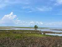 Through the Wetlands:Thailand's Iconic Ekacai Bridge