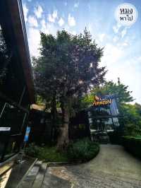 Café Amazon Concept Store อยุธยา: คาเฟ่สวย ร่มรื่น