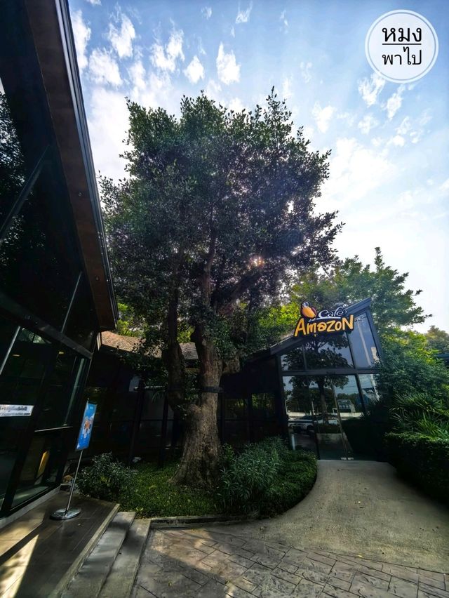Café Amazon Concept Store อยุธยา: คาเฟ่สวย ร่มรื่น