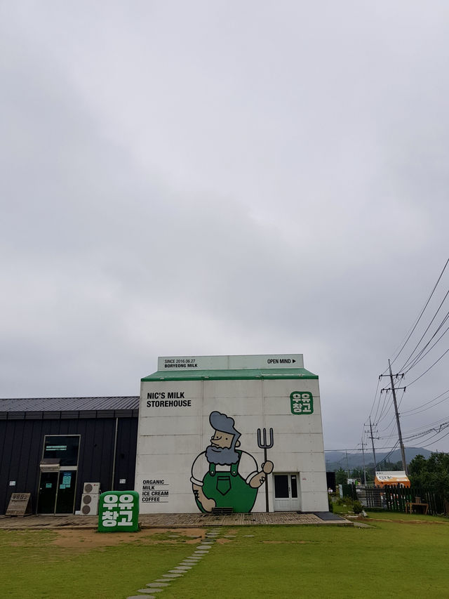 [보령 우유창고] – 신선한 우유로 만든 달콤한 디저트