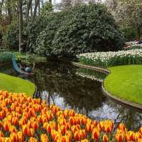 Keukenhof: A Floral Wonderland for Every Flower Enthusiast