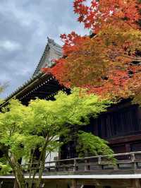 A Peaceful Day Strolling in Nagaokakyo