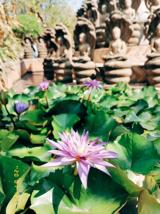 วัดภูดานไห วัดสวยจังหวัดกาฬสินธุ์ ✨🙏🏻