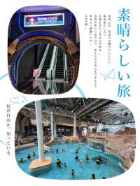 澳門最繽紛水上樂園🎊