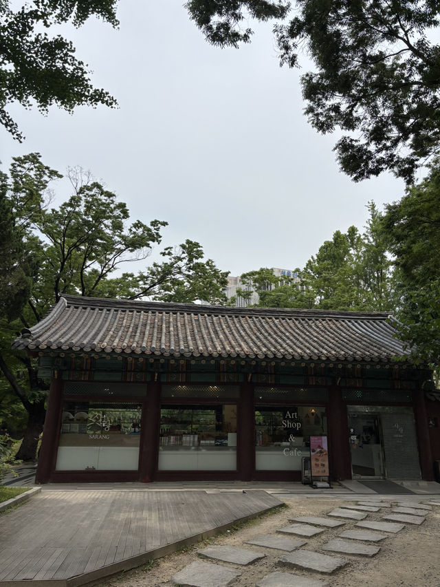 고요함이 숨쉬는 조선시대 덕수궁 돌담길🥹
