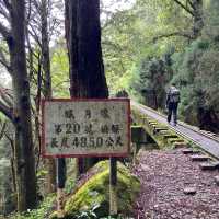 🚶‍♂️阿里山眠月線健行｜沼平車站 ⇄ 石猴車站
