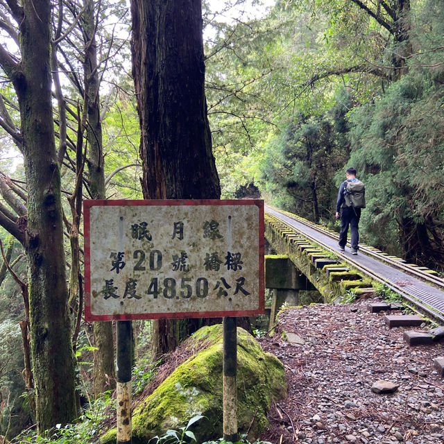 🚶‍♂️阿里山眠月線健行｜沼平車站 ⇄ 石猴車站