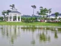 Morning Calm & Duck Encounters at Eco Majestic City Park