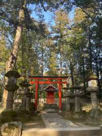 奈良｜春日大社的神鹿與浪漫 細數旗下神秘的壺神神社、拍子神社