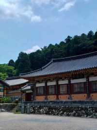 여름산책에 제격인 힐링 사찰, 옥천사
