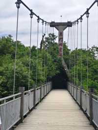 DIY Zhangjiajie travel ideas