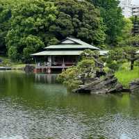 🌿 Thought Tokyo Couldn’t Get Any More Beautiful… Until I Found This Place