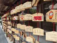 Kushida Shrine (ศาลเจ้าคุชิดะ) ในวันเงียบๆ