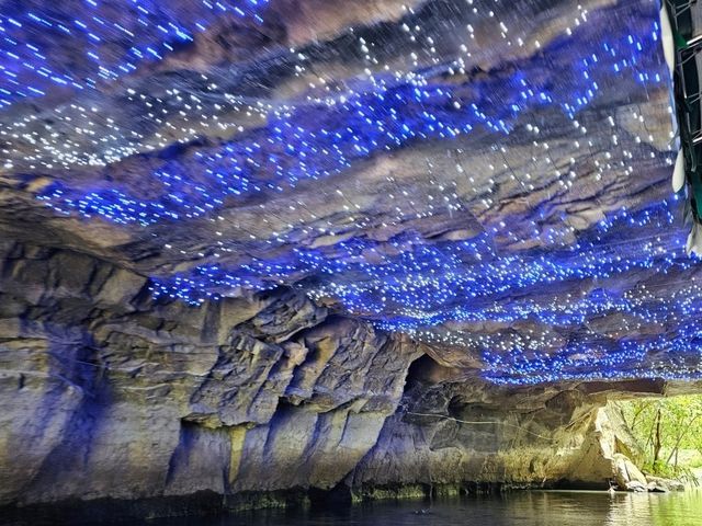 綠色旅遊好去處～冬山河綠舟