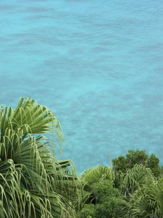 Enjoy the Kerama Blue Sea at Tokashiki Island in Okinawa